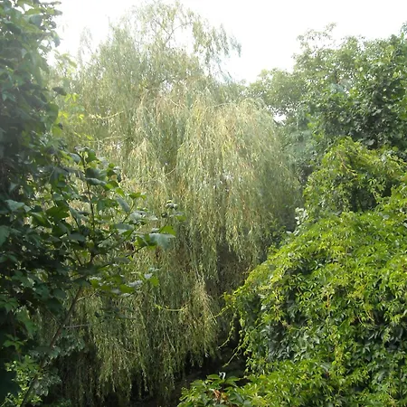 D'hôtes Des Grands Prés