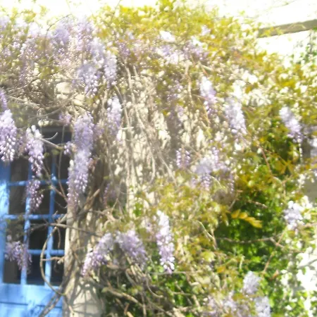 D'hôtes Des Grands Prés Argentan