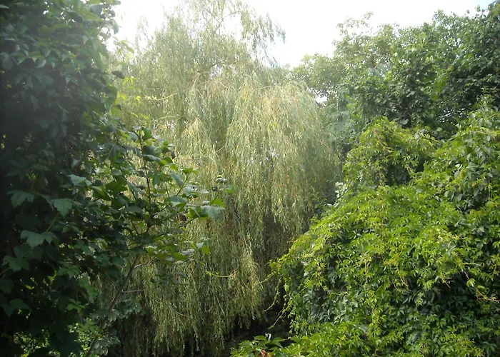 D'hotes Des Grands Pres