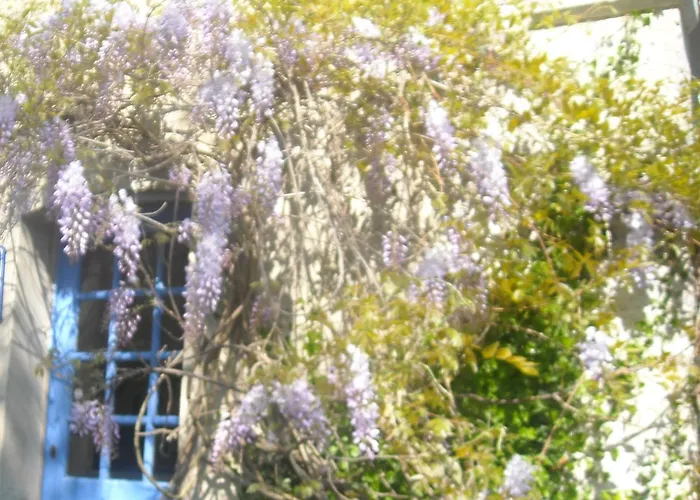 D'hotes Des Grands Pres Argentan